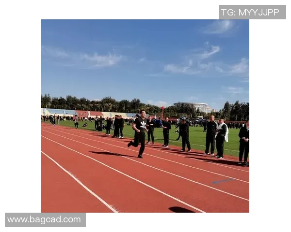 曹县篮球明星的崛起之路：从小镇到全国赛场的奋斗故事